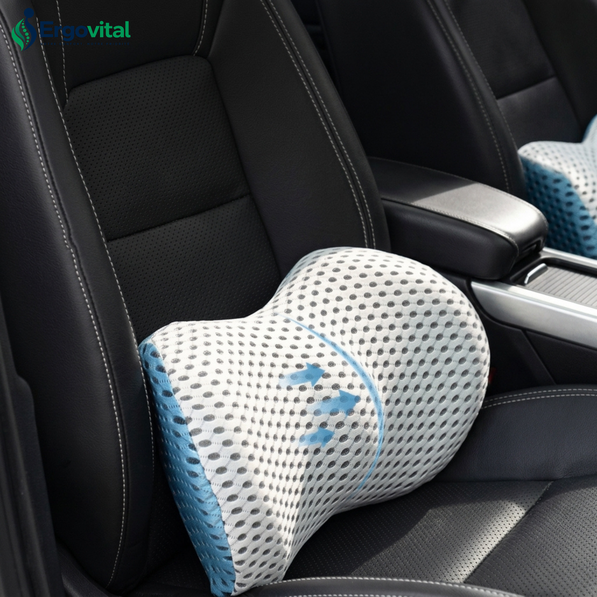 Coussin Lombaire Ergonomique – Soutien Dos Mémoire de Forme