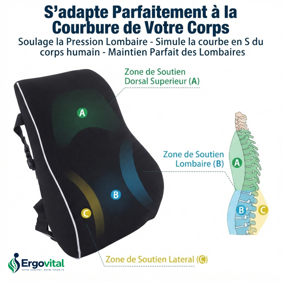 Coussin Lombaire – Améliore la Posture et Soulage le Mal  Mémoire de Forme