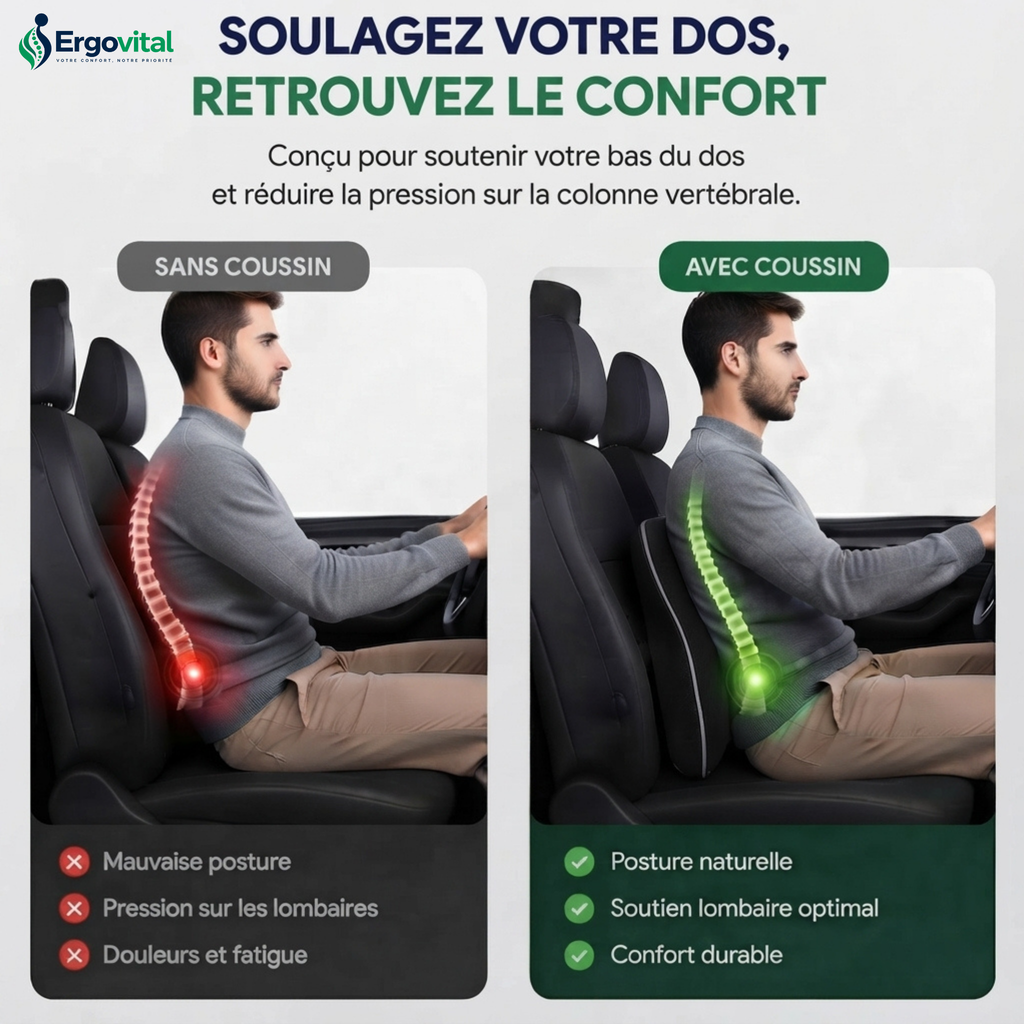 Coussin Lombaire – Améliore la Posture et Soulage le Mal  Mémoire de Forme